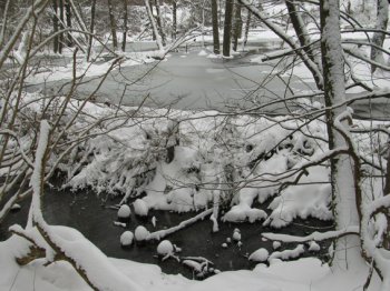 Winter im Biberrevier 